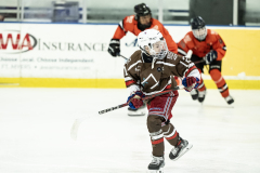 Tigers-VS-Bears_83