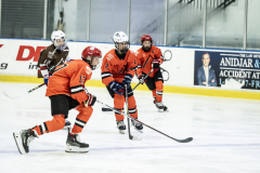 Tigers-VS-Bears_85
