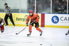Tigers-VS-Bears_87