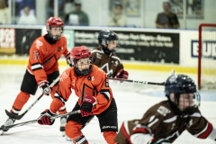 Tigers-VS-Bears_89