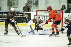 Tigers-VS-Bears_90