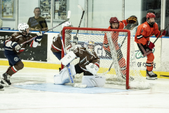 Tigers-VS-Bears_91