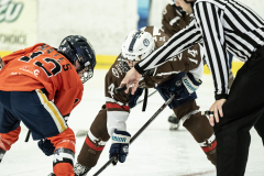Tigers-VS-Bears_92