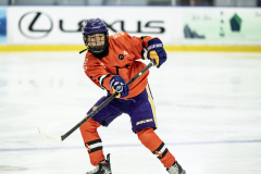 Tigers-VS-Bears_94