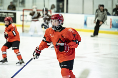 Tigers-VS-Bears_99