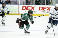 Wildcats-VS-Spartans_25