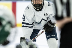 Wildcats-VS-Spartans_29