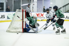 Wildcats-VS-Spartans_33