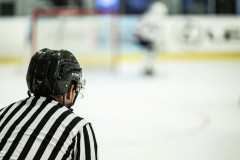 Bulldogs-VS-Crimson_12