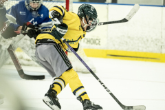 Sat - 10 Falcons vs. 10 Wolverines