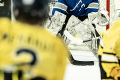 Falcons-VS-Wolverines_08