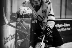 Falcons-VS-Wolverines_27