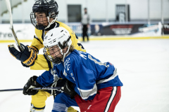 Falcons-VS-Wolverines_28