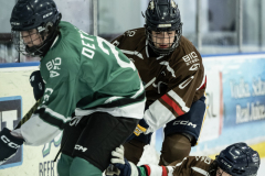 Bears-VS-Spartans_06