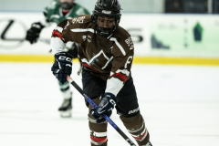 Bears-VS-Spartans_08