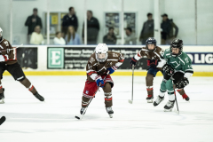 Bears-VS-Spartans_12