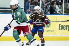 Bears-VS-Spartans_19