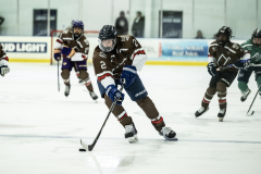 Bears-VS-Spartans_24