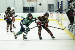 Bears-VS-Spartans_25