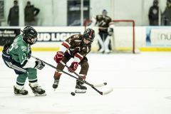 Bears-VS-Spartans_26