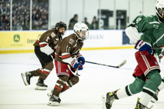 Bears-VS-Spartans_27