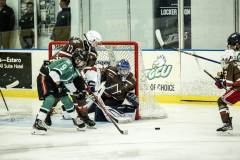 Bears-VS-Spartans_36