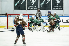 Bears-VS-Spartans_49