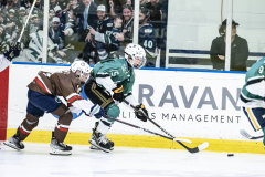 Bears-VS-Spartans_56
