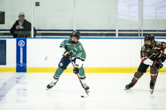 Bears-VS-Spartans_59