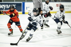 Wildcats-VS-Tigers_01