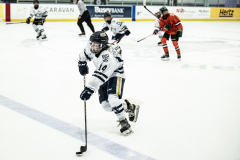 Wildcats-VS-Tigers_02