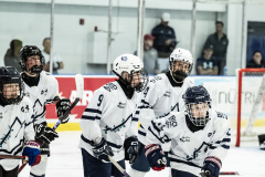 Wildcats-VS-Tigers_03