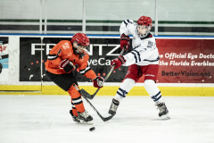 Wildcats-VS-Tigers_05