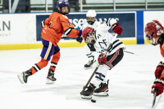 Wildcats-VS-Tigers_08