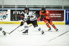 Wildcats-VS-Tigers_10