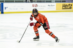 Wildcats-VS-Tigers_19