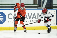 Wildcats-VS-Tigers_21