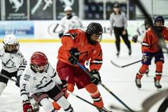Wildcats-VS-Tigers_24