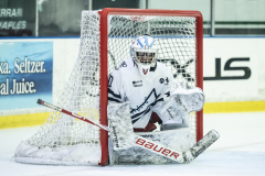 Wildcats-VS-Tigers_29