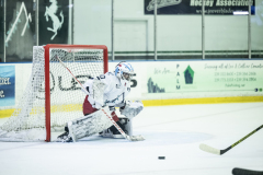 Wildcats-VS-Tigers_30