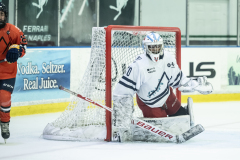 Wildcats-VS-Tigers_31