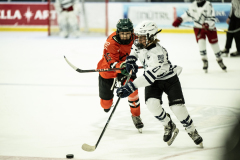 Wildcats-VS-Tigers_41