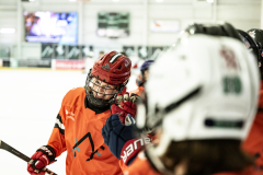 Wildcats-VS-Tigers_48