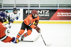Wildcats-VS-Tigers_52