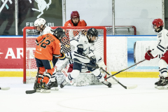 Wildcats-VS-Tigers_53