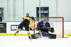 1_Bulldogs-VS-Bobcats_01