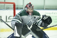 Big-Green-VS-Knights_02