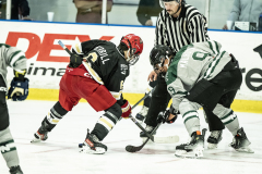 Big-Green-VS-Knights_20