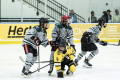 Big-Green-VS-Wolverines_18