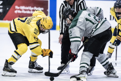 Big-Green-VS-Wolverines_24